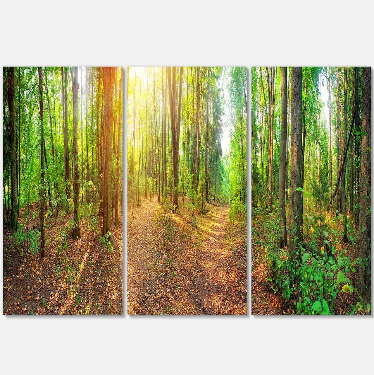 Designart - Dense Forest Panorama - Landscape Canvas Art Print